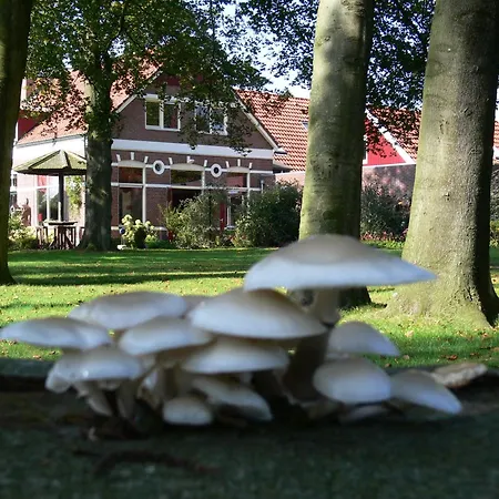 Hotel Boutique Nieuw Beusink 3*