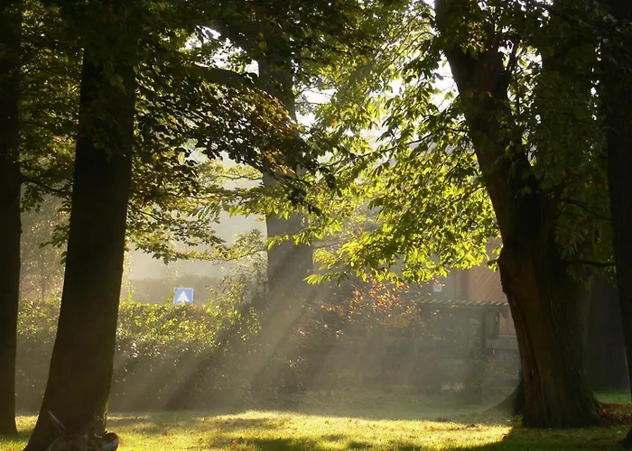 Hotel Restaurant Nieuw Beusink 3*