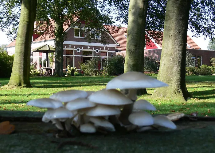 Hotell Boutique Nieuw Beusink 3*